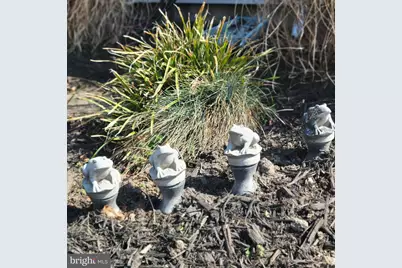 519 White Hall Road, Lancaster, VA 22503 - Photo 43