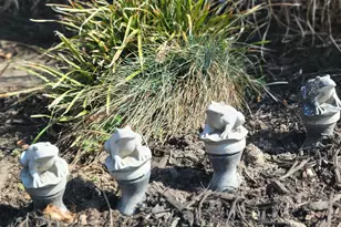 519 Whitehall Rd, Lancaster, VA 22503 - Photo 43