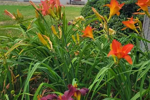 519 Whitehall Rd, Lancaster, VA 22503 - Photo 41