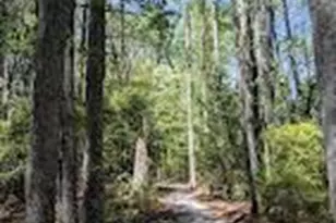 2010 River Rd, Lancaster, VA 22503 - Photo 65