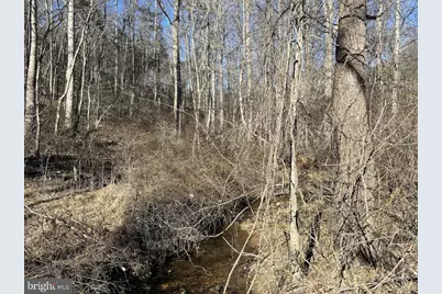 Tbd Duet Road, Madison, VA 22727 - Photo 7