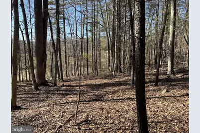 Tbd Duet Road, Madison, VA 22727 - Photo 3