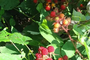 33 E Circle Rd, Madison, VA 22727 - Photo 15