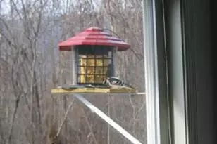 33 E Circle Rd, Madison, VA 22727 - Photo 9