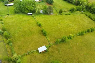 2188 Seville Rd, Madison, VA 22727 - Photo 57