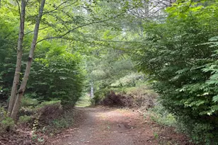 60 Mountain Breeze Ln, Syria, VA 22743 - Photo 67