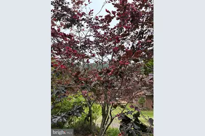 60 Mountain Breeze Lane, Syria, VA 22743 - Photo 77