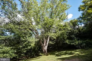 60 Mountain Breeze Ln, Syria, VA 22743 - Photo 29
