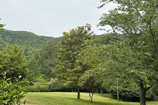 60 Mountain Breeze Ln, Syria, VA 22743 - Photo 59