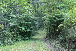 60 Mountain Breeze Ln, Syria, VA 22743 - Photo 51