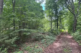 Tbd Mount Pisgah Church Dr, Orange, VA 22960 - Photo 9