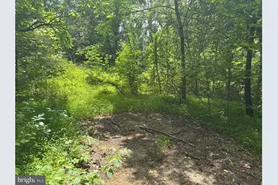 Tbd Mount Pisgah Church Dr, Orange, VA 22960 - Photo 13