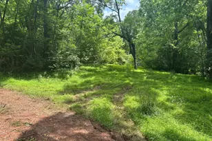 Tbd Mount Pisgah Church Dr, Orange, VA 22960 - Photo 17