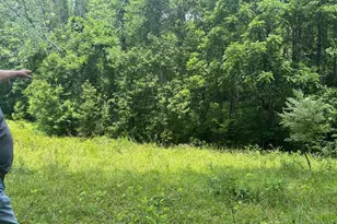 Tbd Mount Pisgah Church Dr, Orange, VA 22960 - Photo 19