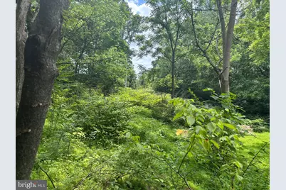 Tbd Mount Pisgah Church Dr, Orange, VA 22960 - Photo 15