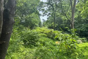 Tbd Mount Pisgah Church Dr, Orange, VA 22960 - Photo 15