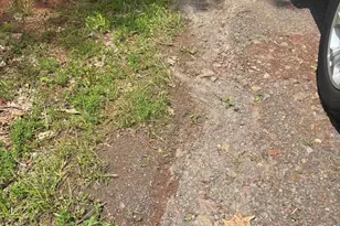 Tbd Mount Pisgah Church Dr, Orange, VA 22960 - Photo 7