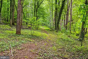 319 Fox Hunters Ln, Madison, VA 22727 - Photo 17