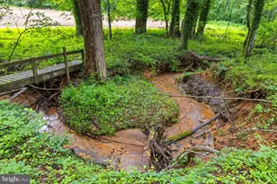 319 Fox Hunters Ln, Madison, VA 22727 - Photo 15