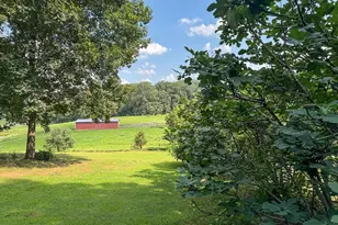 1318 Locust Grove Church Rd, Orange, VA 22960 - Photo 41