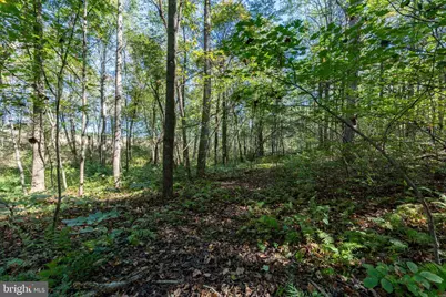 Orange Road, Pratts, VA 22731 - Photo 11