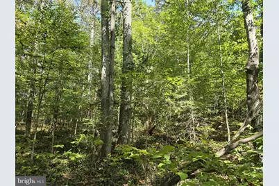 Poorhouse Rd, Madison, VA 22727 - Photo 5