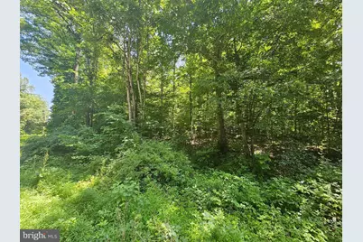 Jacks Shop Road, Madison, VA 22727 - Photo 7