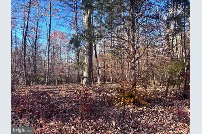 0 Main Uno Baptist Church Lane, Rochelle, VA 22738 - Photo 5