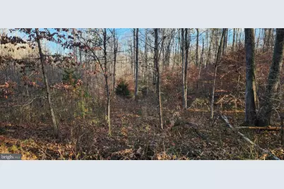 0 Buggy Lane, Rochelle, VA 22738 - Photo 7