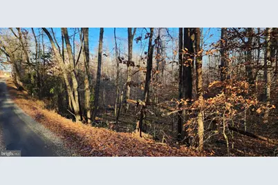 0 Buggy Lane, Rochelle, VA 22738 - Photo 7