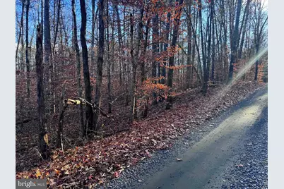 0 Buggy Lane, Rochelle, VA 22738 - Photo 11