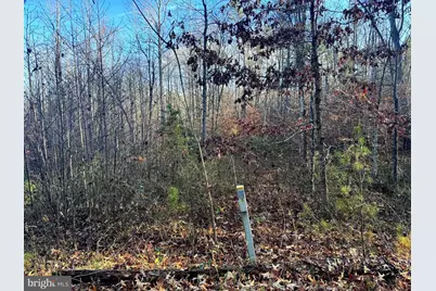 0 Buggy Lane, Rochelle, VA 22738 - Photo 5