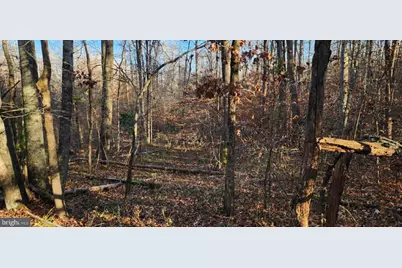 0 Buggy Lane, Rochelle, VA 22738 - Photo 9