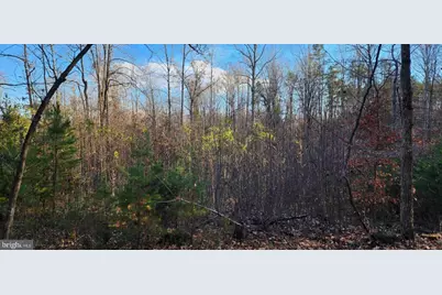 0 Buggy Lane, Rochelle, VA 22738 - Photo 9