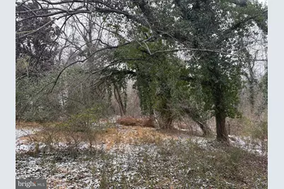 0 Main, Madison, VA 22727 - Photo 7