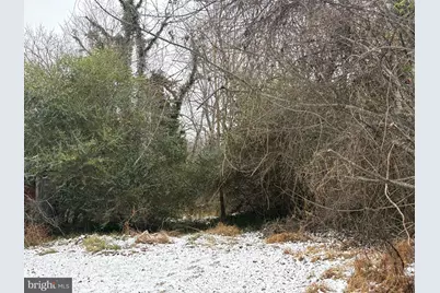 0 Main, Madison, VA 22727 - Photo 3