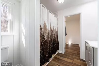 201 Chad Berry Lane, Syria, VA 22743 - Photo 21