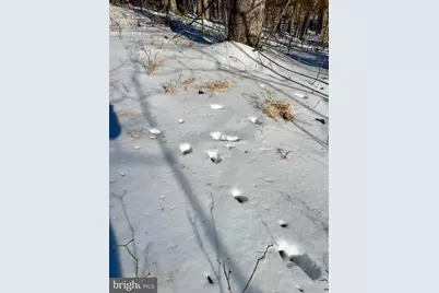 00 Mt Zion Church Road, Madison, VA 22727 - Photo 15