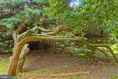 1830 Thrift Road, Madison, VA 22727 - Photo 39