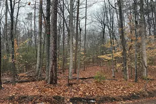 0 Tatum School Rd, Madison, VA 22727 - Photo 1