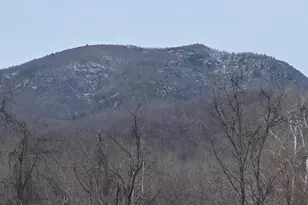 2996 Etlan Rd, Etlan, VA 22719 - Photo 3