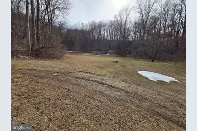 2996 Etlan Road, Etlan, VA 22719 - Photo 21