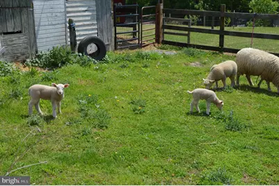 448 Ridgeview Road #APT 3, Brightwood, VA 22715 - Photo 25