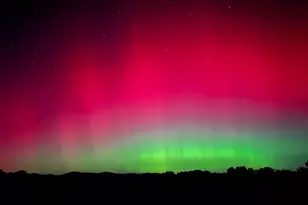 4601 S Blue Ridge Turnpike, Rochelle, VA 22738 - Photo 45