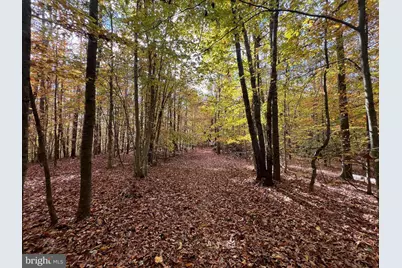 4601 S. Blue Ridge Turnpike, Rochelle, VA 22738 - Photo 41
