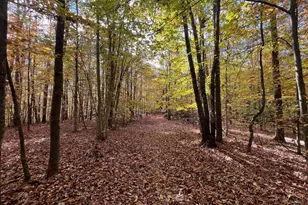 4601 S Blue Ridge Turnpike, Rochelle, VA 22738 - Photo 41