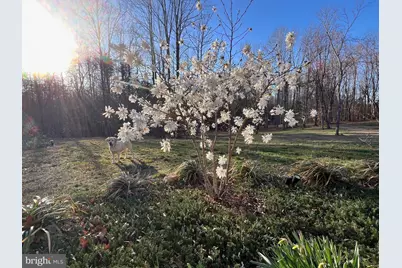 4601 S. Blue Ridge Turnpike, Rochelle, VA 22738 - Photo 33