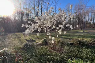 4601 S Blue Ridge Turnpike, Rochelle, VA 22738 - Photo 33