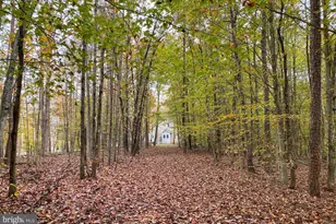 4601 S Blue Ridge Turnpike, Rochelle, VA 22738 - Photo 35