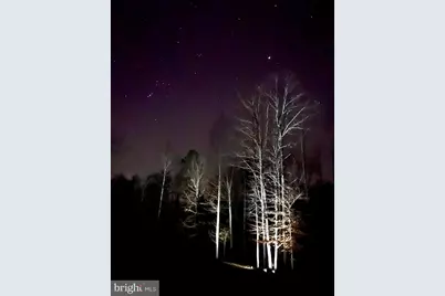 4601 S. Blue Ridge Turnpike, Rochelle, VA 22738 - Photo 39